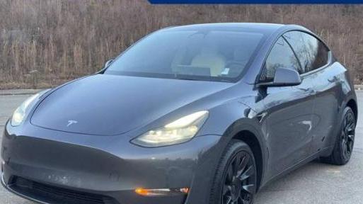 TESLA MODEL Y 2022 7SAYGDEE2NF517354 image